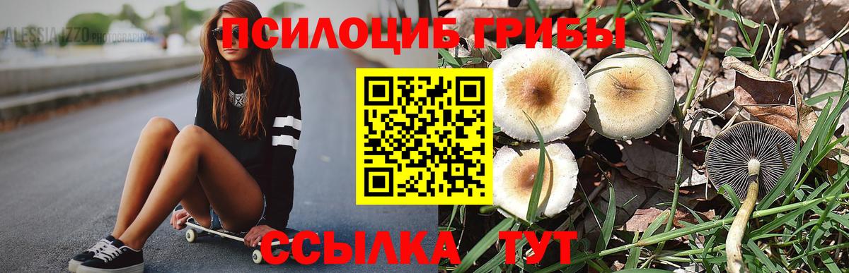 Псилоцибиновые грибы Magic Shrooms Удомля