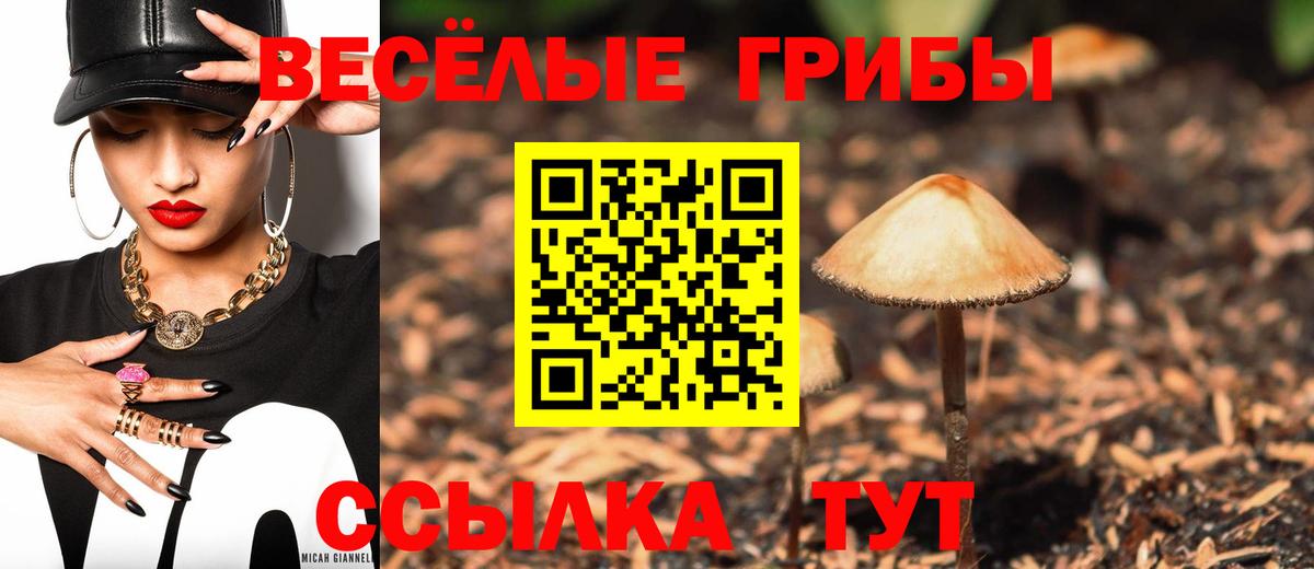 Псилоцибиновые грибы Magic Shrooms  Вход с VPN  Удомля  наркотики  Псилоцибиновые грибы Psilocybine cubensis 